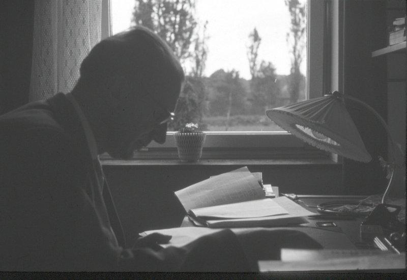 Paulis pie rakstāmgalda